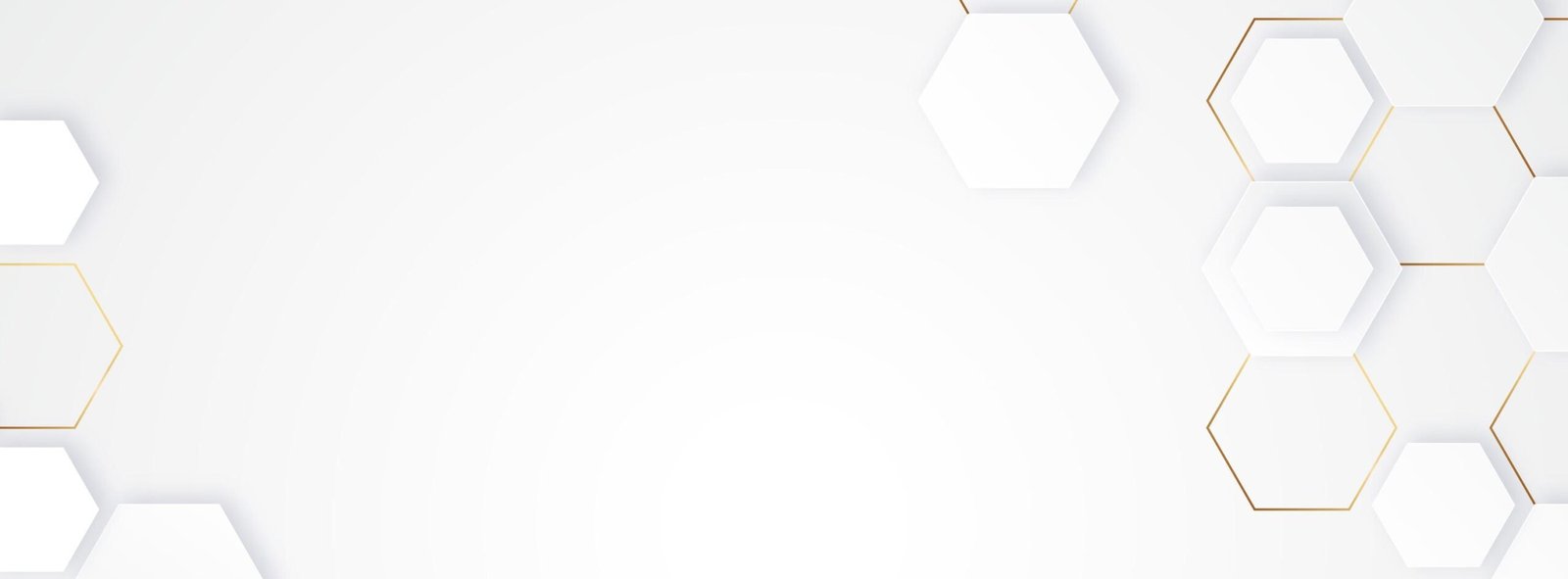 18262593_5968949